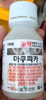 kia1588님의 작성글 사진