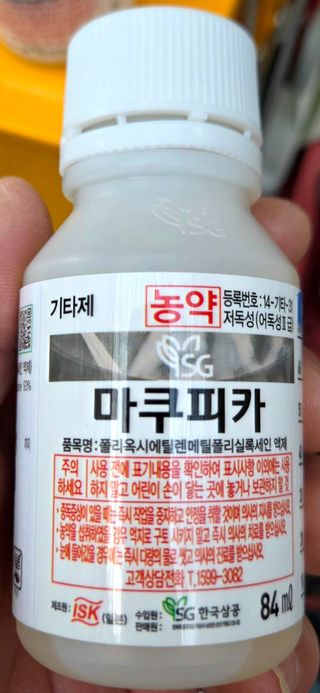 kia1588님의 귤 · 영농일지 작성글 사진