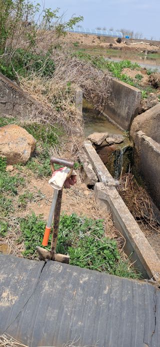 이복길님의 기타작물 · 영농일지 작성글 사진