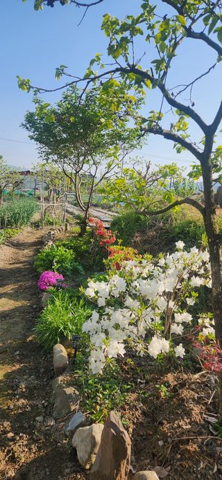 김순섭님의 기타작물 · 영농일지 작성글 사진