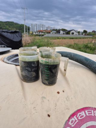 신인농원님의 기타작물 · 영농일지 작성글 사진