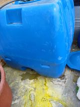 최유순님의 작성글 사진