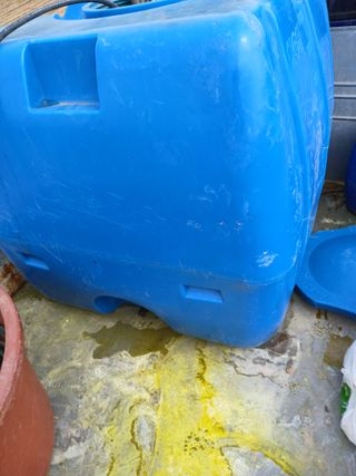 최유순님의 기타작물 · 영농일지 작성글 사진