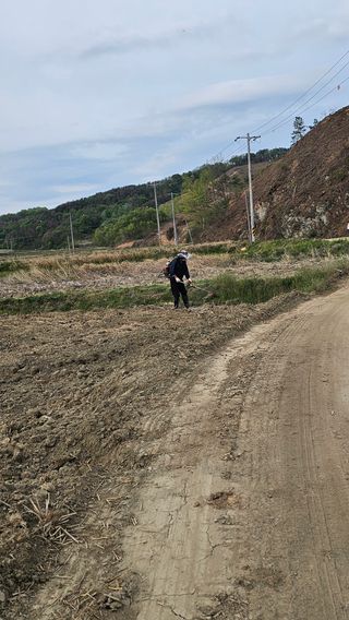 (천지산)님의 벼 · 영농일지 작성글 사진