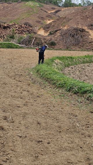 (천지산)님의 벼 · 영농일지 작성글 사진