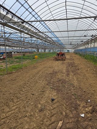 임광순님의 기타작물 · 영농일지 작성글 사진