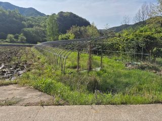 황매산신령님의 기타작물 · 영농일지 작성글 사진