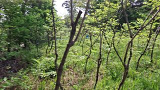 수기님의 기타작물 · 영농일지 작성글 사진