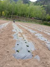 김성님의 작성글 사진