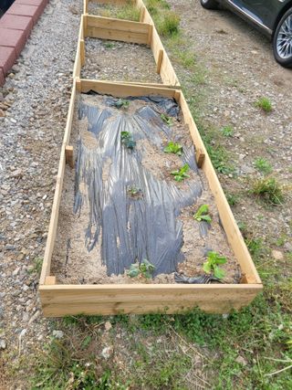 화양초보님의 작성글 사진