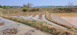 이복길님의 기타작물 · 영농일지 작성글 사진