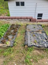 화양초보님의 작성글 사진