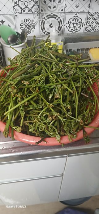 윤석돈님의 기타작물 · 영농일지 작성글 사진