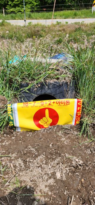 초보농부님의 작성글 사진