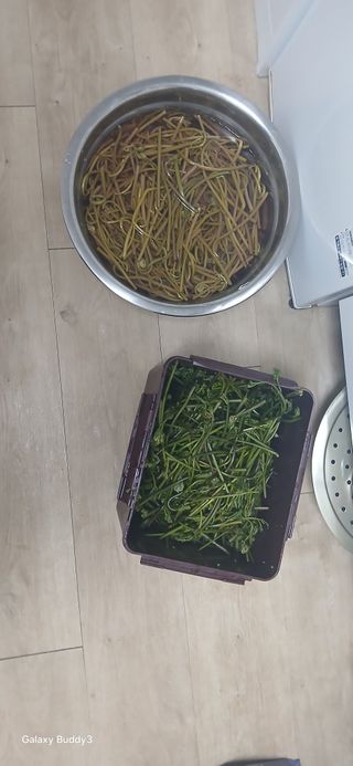 윤석돈님의 기타작물 · 영농일지 작성글 사진