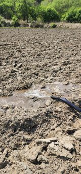 초보농부님의 작성글 사진