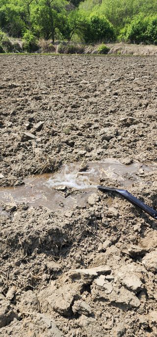 초보농부님의 기타작물 · 영농일지 작성글 사진