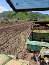 두릅나무9056님의 작성글 사진