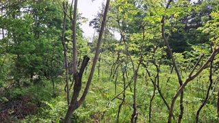 수기님의 기타작물 · 영농일지 작성글 사진