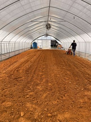 박종민님의 기타작물 · 영농일지 작성글 사진