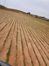 최유순님의 작성글 사진