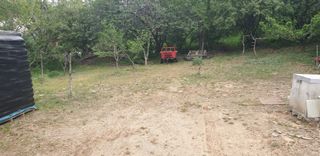 정천복님의 기타작물 · 영농일지 작성글 사진