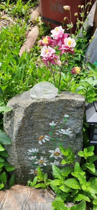 김순섭님의 기타작물 · 영농일지 작성글 사진