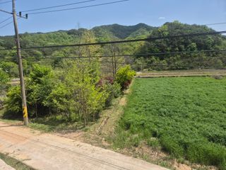 황매산신령님의 기타작물 · 영농일지 작성글 사진