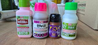 빤대돌농장님의 기타작물 · 영농일지 작성글 사진