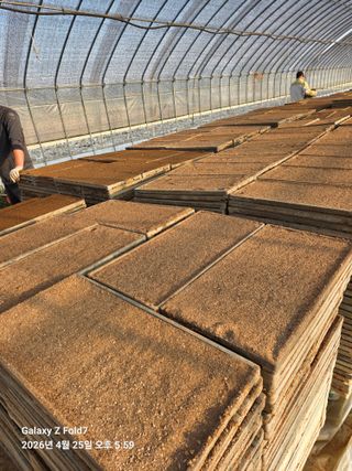 아하론님의 작성글 사진