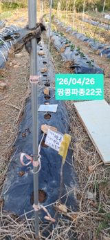 kh글로벌님의 작성글 사진