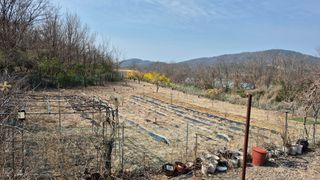 초보농부님의 기타작물 · 영농일지 작성글 사진