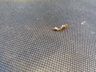 최정윤님의 기타작물 · 영농일지 작성글 사진