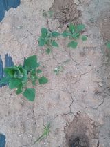 이용찬 열매마농원님의 작성글 사진