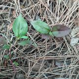 正覺님의 작성글 사진