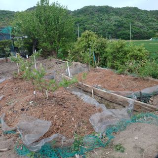 正覺님의 작성글 사진