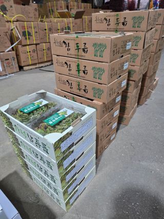 플러스밸류님의 두릅 · 영농일지 작성글 사진