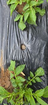 한병훈님의 작성글 사진