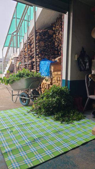 고춘석(고랑과이랑)님의 기타작물 · 영농일지 작성글 사진