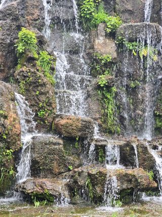 김영순님의 기타작물 · 영농일지 작성글 사진