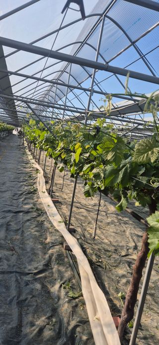 이화주님의 작성글 사진