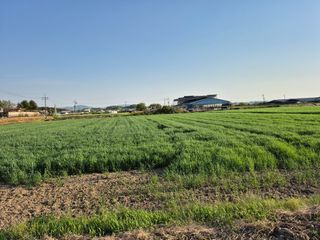김영천님의 기타작물 · 영농일지 작성글 사진