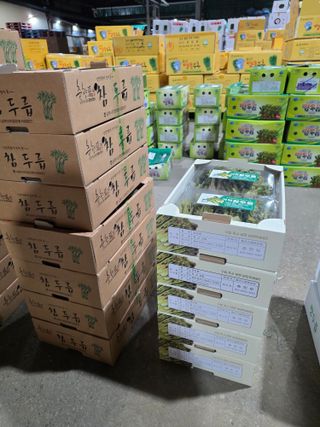 플러스밸류님의 두릅 · 영농일지 작성글 사진