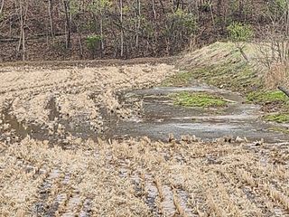 백화산지킴이산야초님의 벼 · 영농일지 작성글 사진