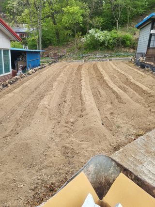 이상욱님의 고추 · 영농일지 작성글 사진