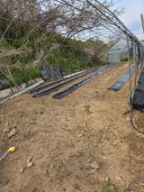 마늘25328님의 작성글 사진