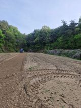 백운농원 님의 작성글 사진