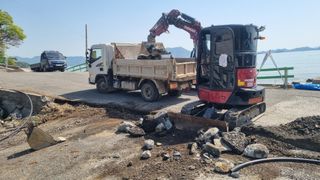 최강K님의 기타작물 · 영농일지 작성글 사진