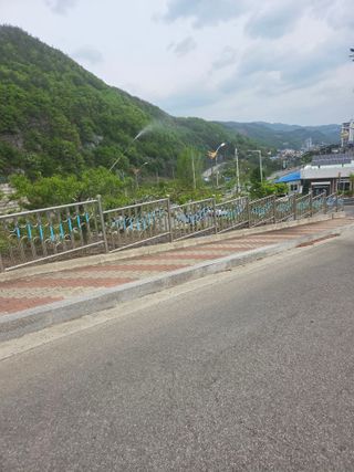 김용대님의 기타작물 · 영농일지 작성글 사진