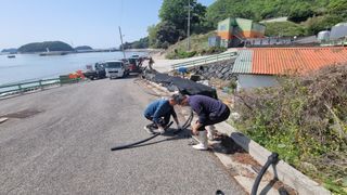 최강K님의 기타작물 · 영농일지 작성글 사진